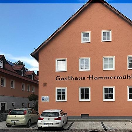 Landgasthof-Hotel Hammermuehle Donaustauf Zewnętrze zdjęcie