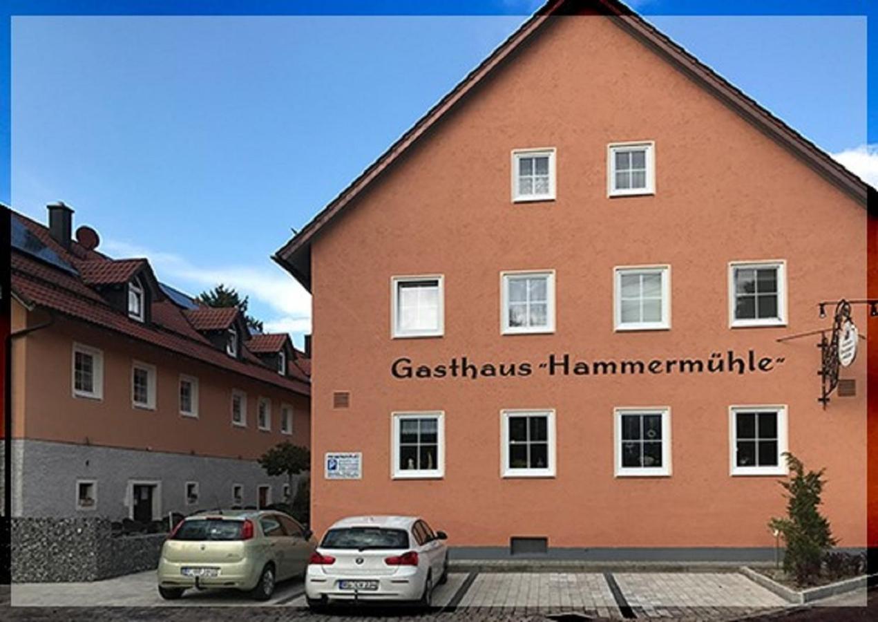 Landgasthof-Hotel Hammermuehle Donaustauf Zewnętrze zdjęcie